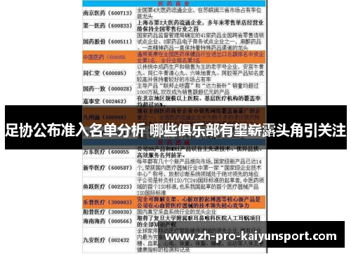 足协公布准入名单分析 哪些俱乐部有望崭露头角引关注