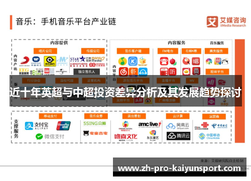 近十年英超与中超投资差异分析及其发展趋势探讨