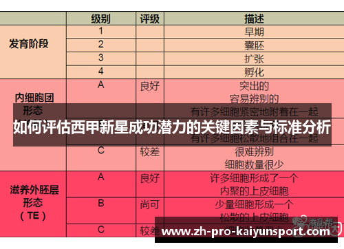 如何评估西甲新星成功潜力的关键因素与标准分析